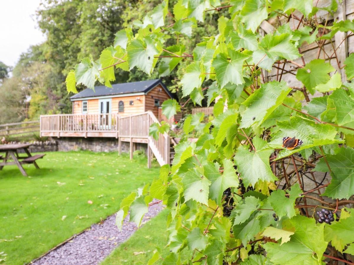 Chateau Petit Caersws Luaran gambar